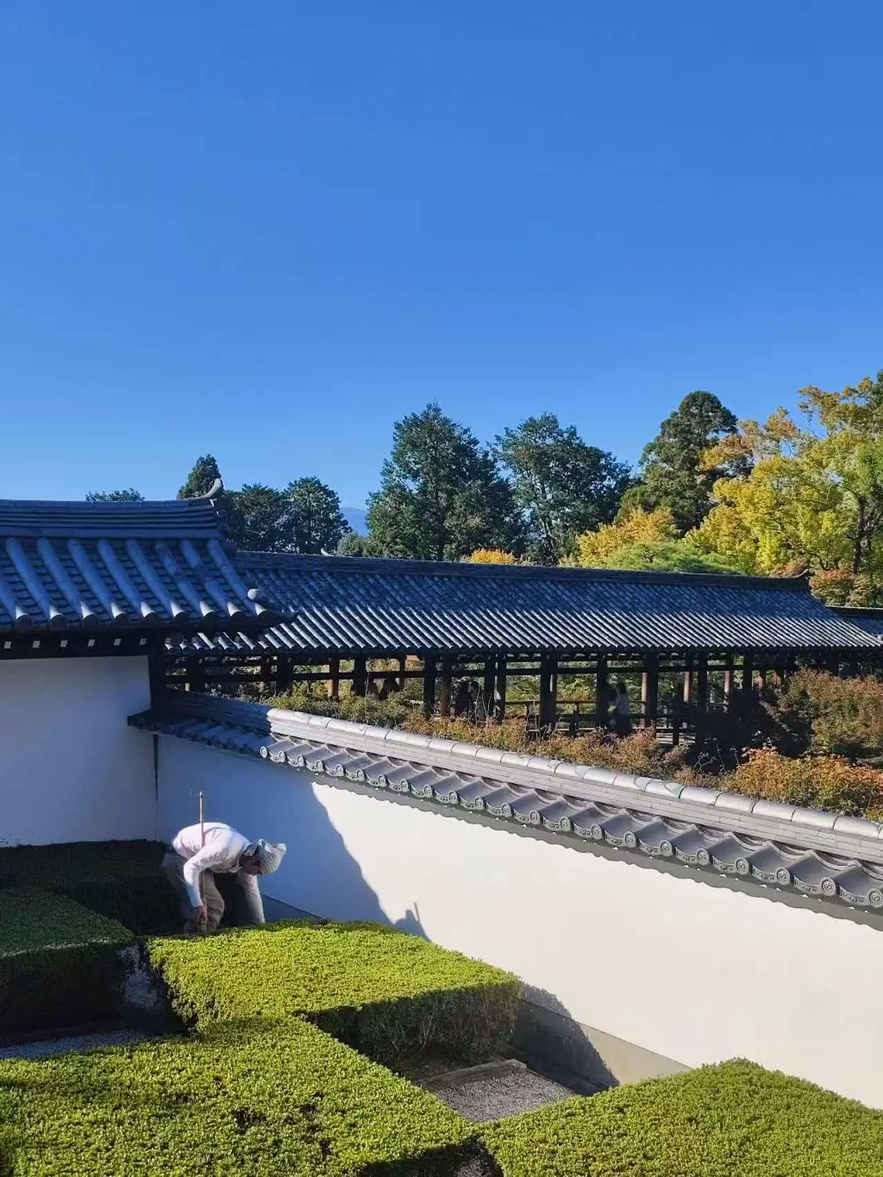 An image to describe post