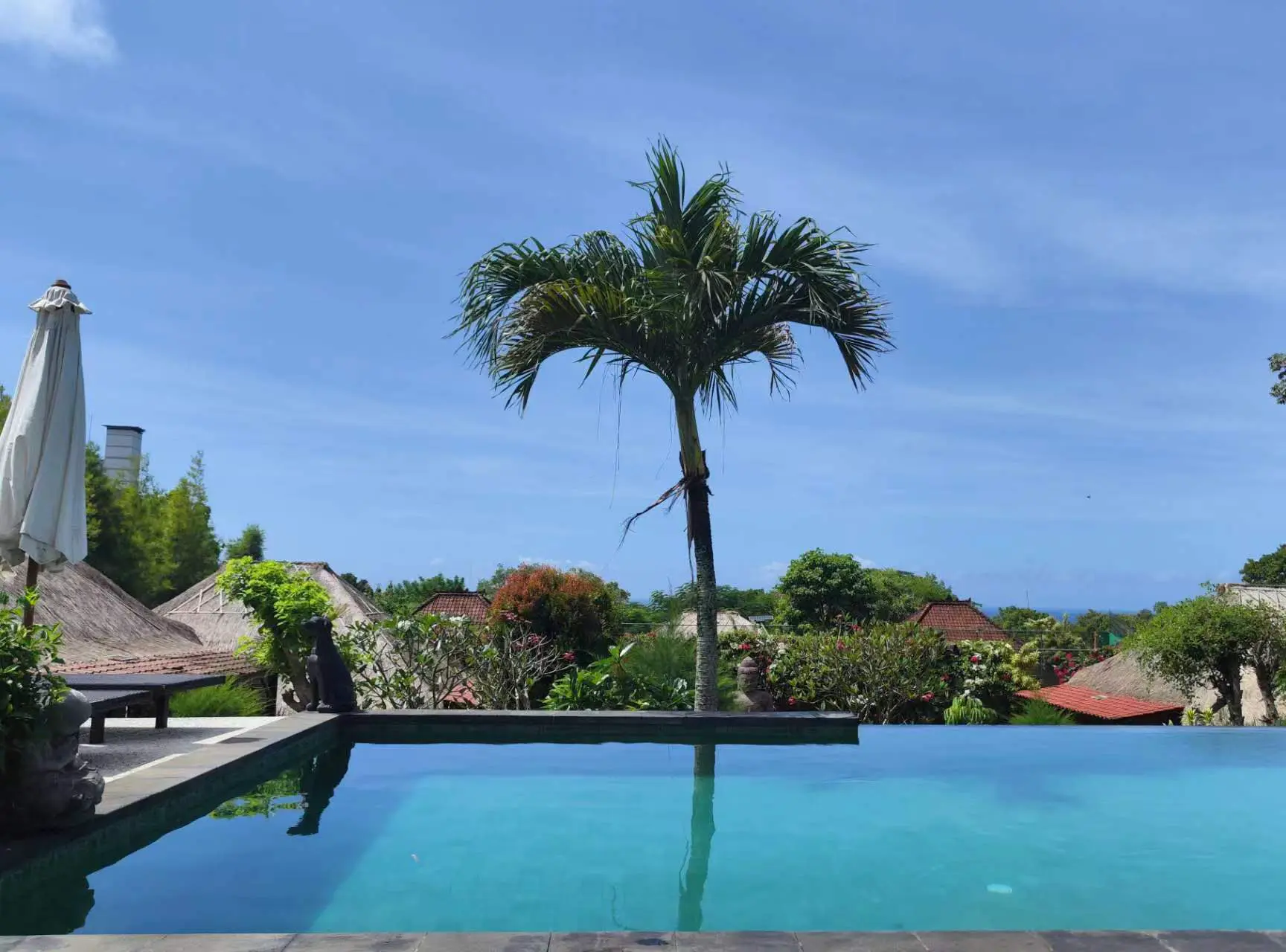 An image to describe post