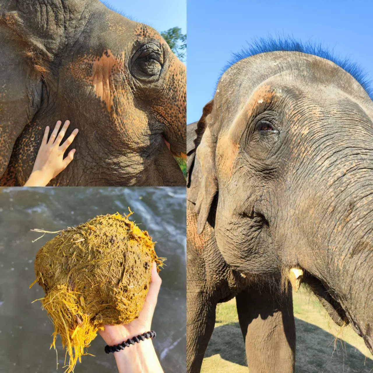 An image to describe post