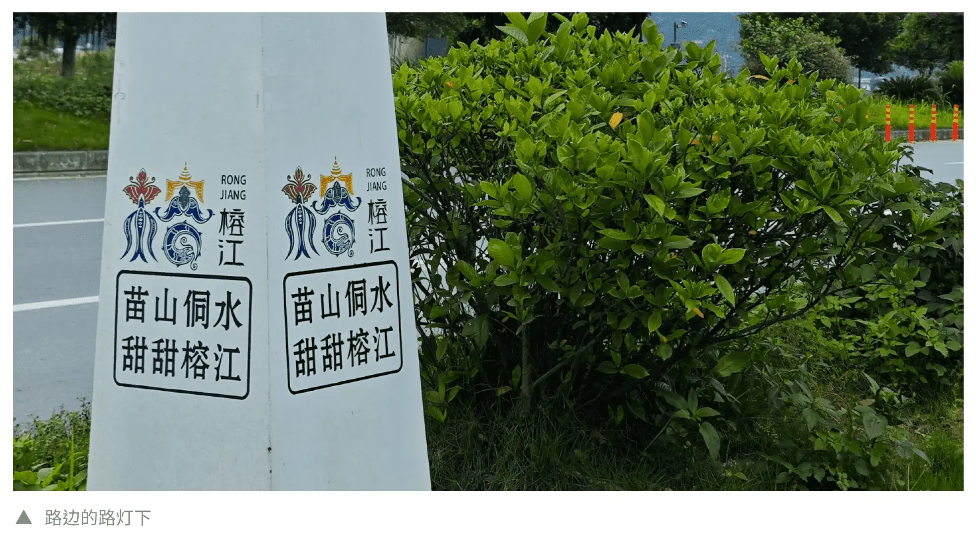 An image to describe post