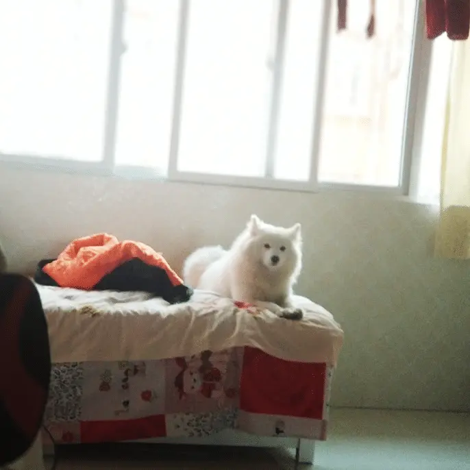 An image to describe post