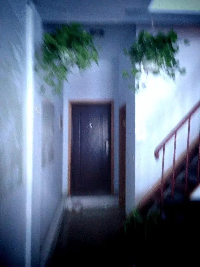 An image to describe post