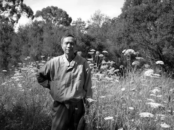 杨小凯：我认识基督教的三个过程