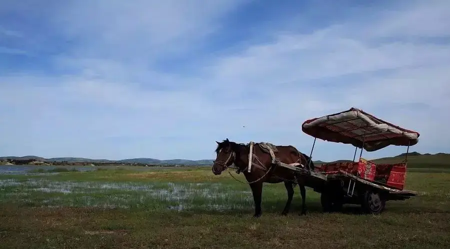 迟来的道歉