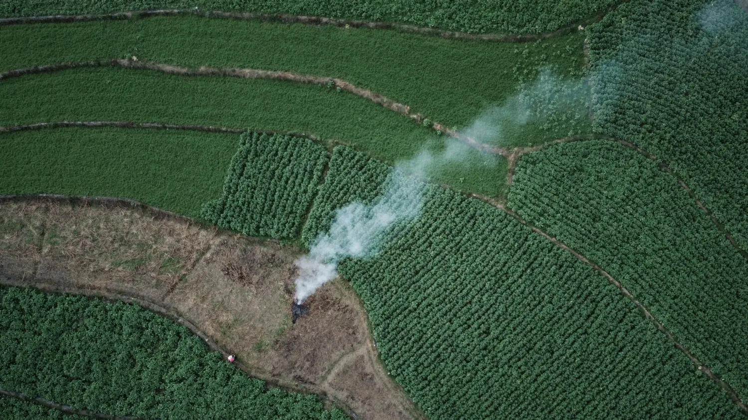 就如烈火带着浓烟