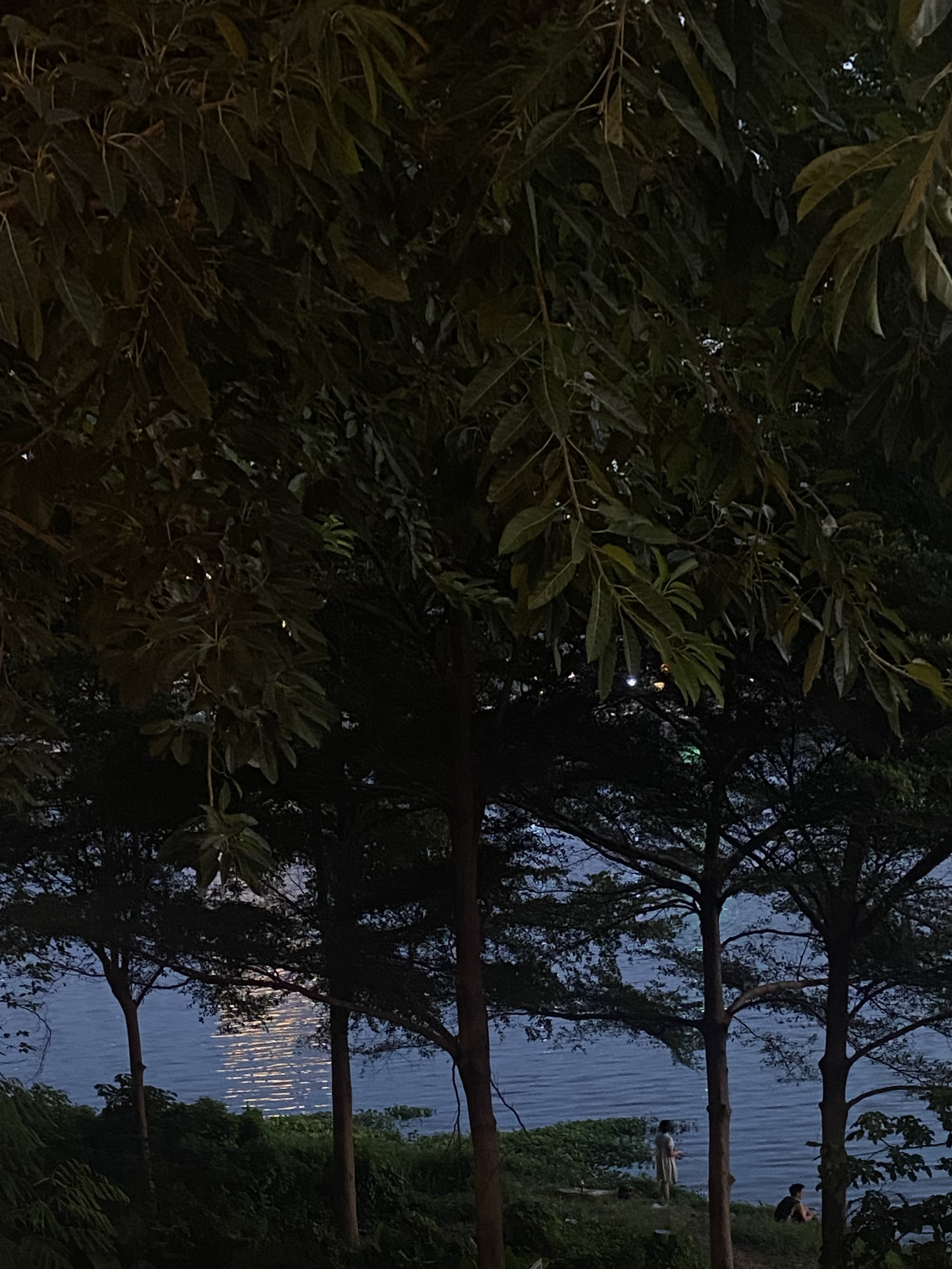 花生碎05: 来去散步