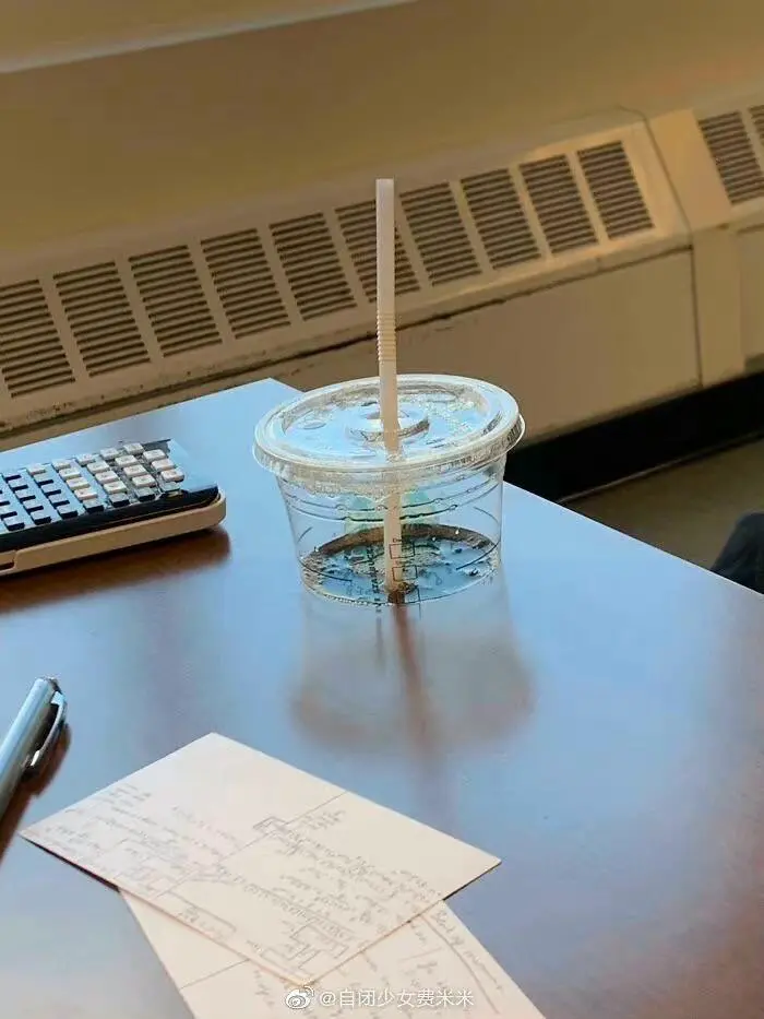 An image to describe post