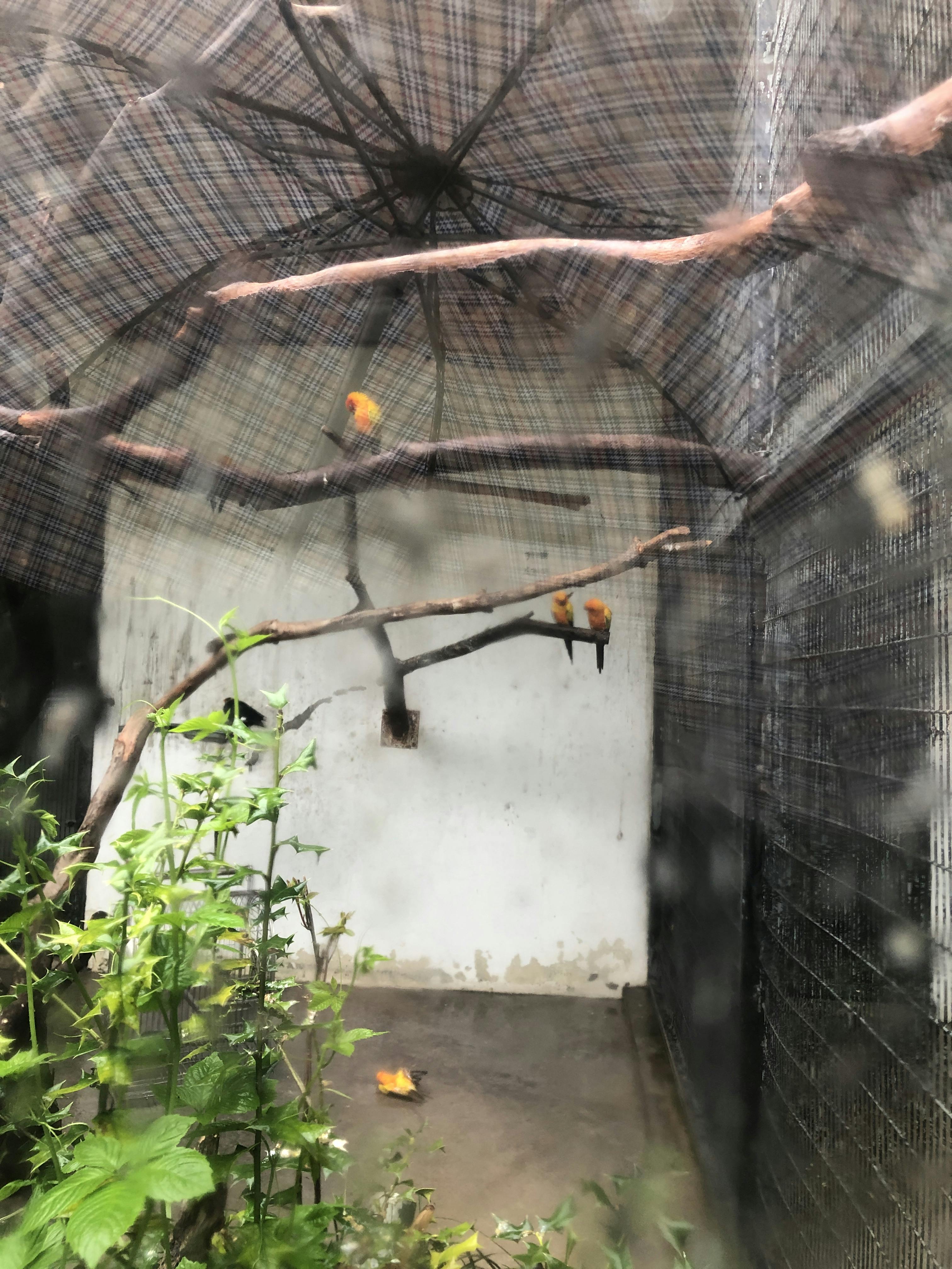 An image to describe post