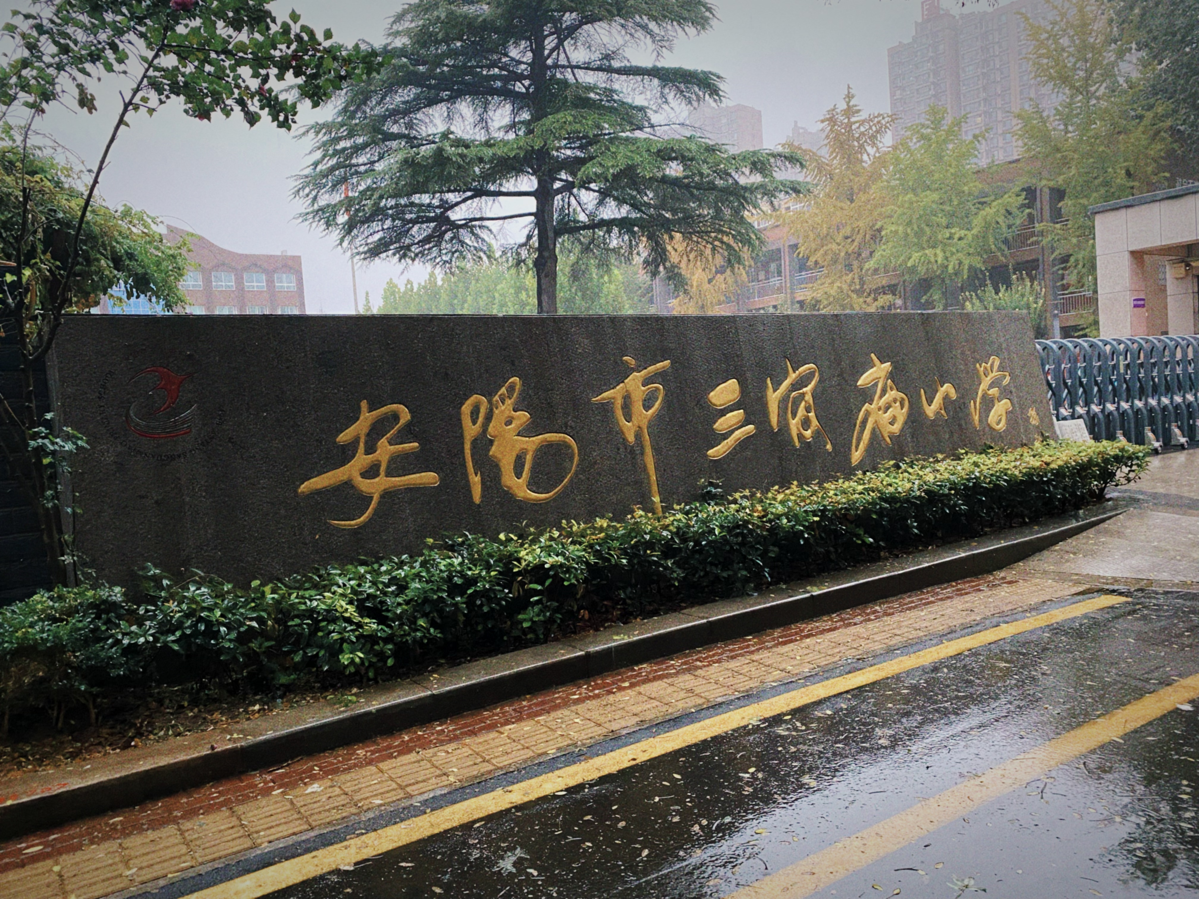 An image to describe post