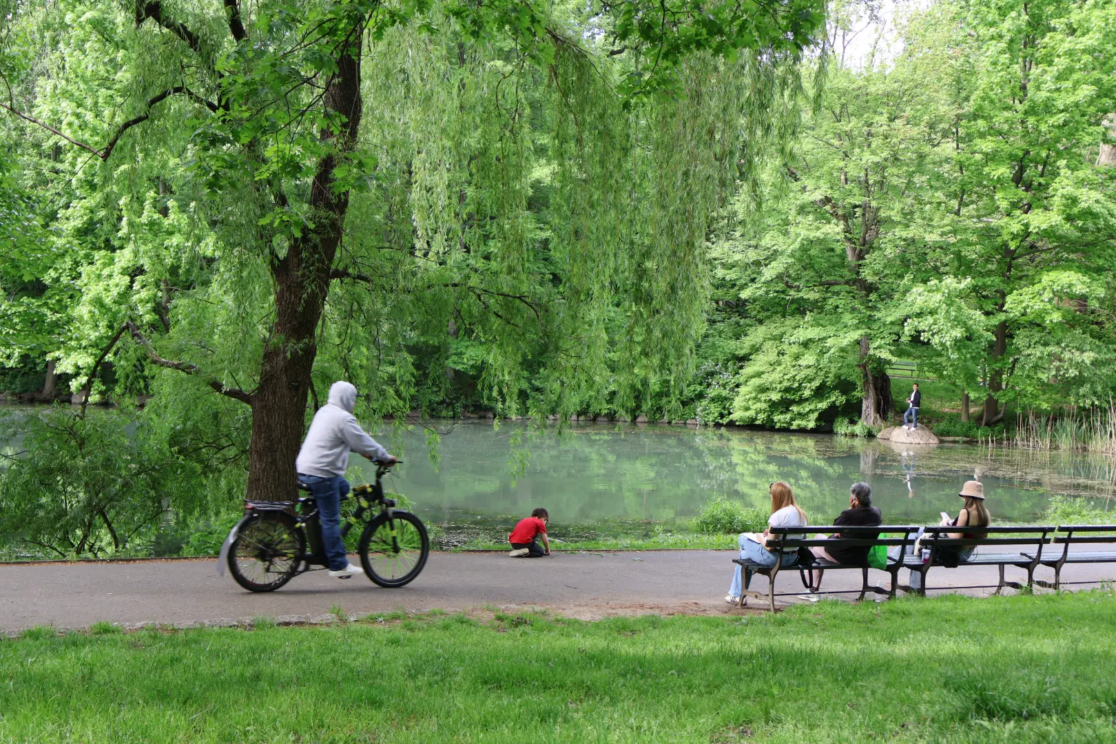 An image to describe post