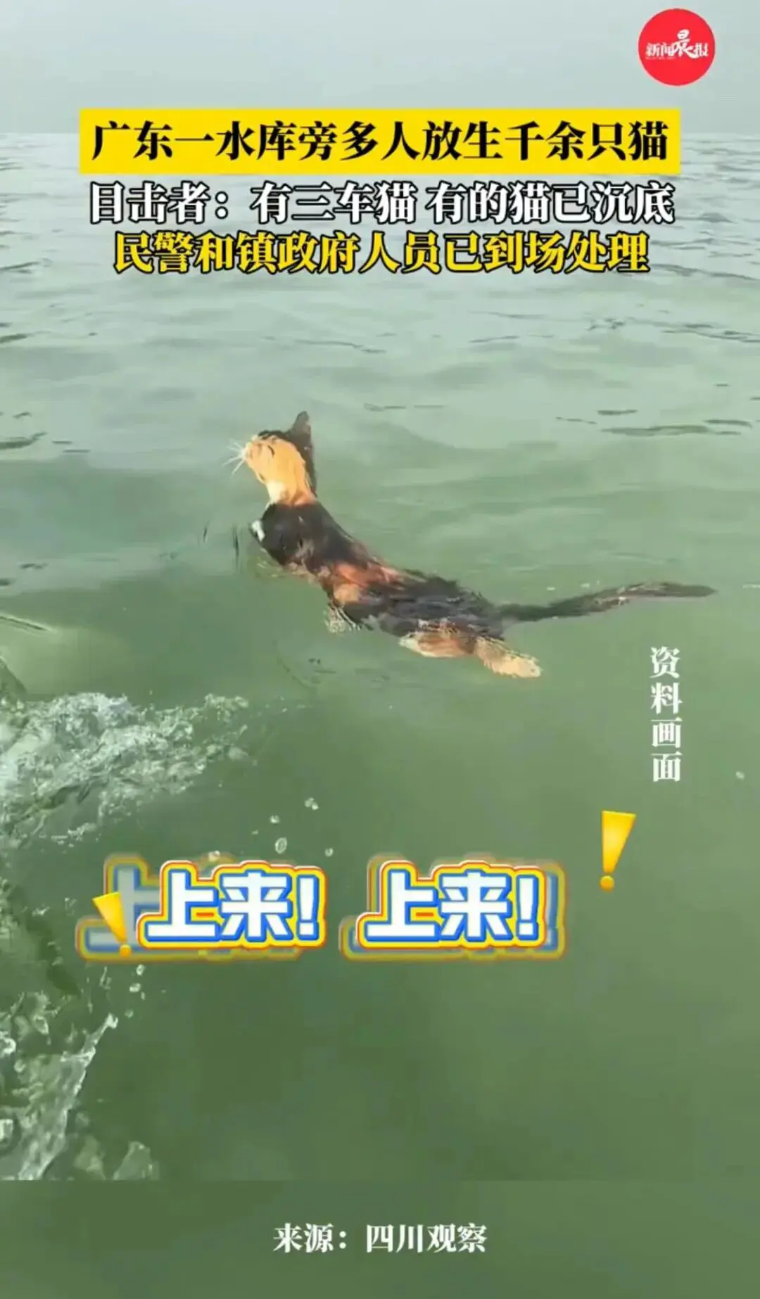 An image to describe post