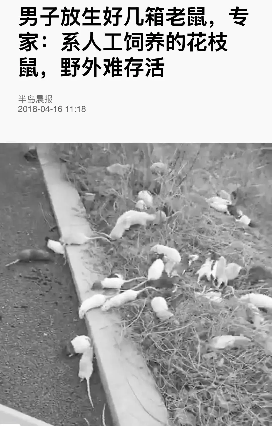 An image to describe post