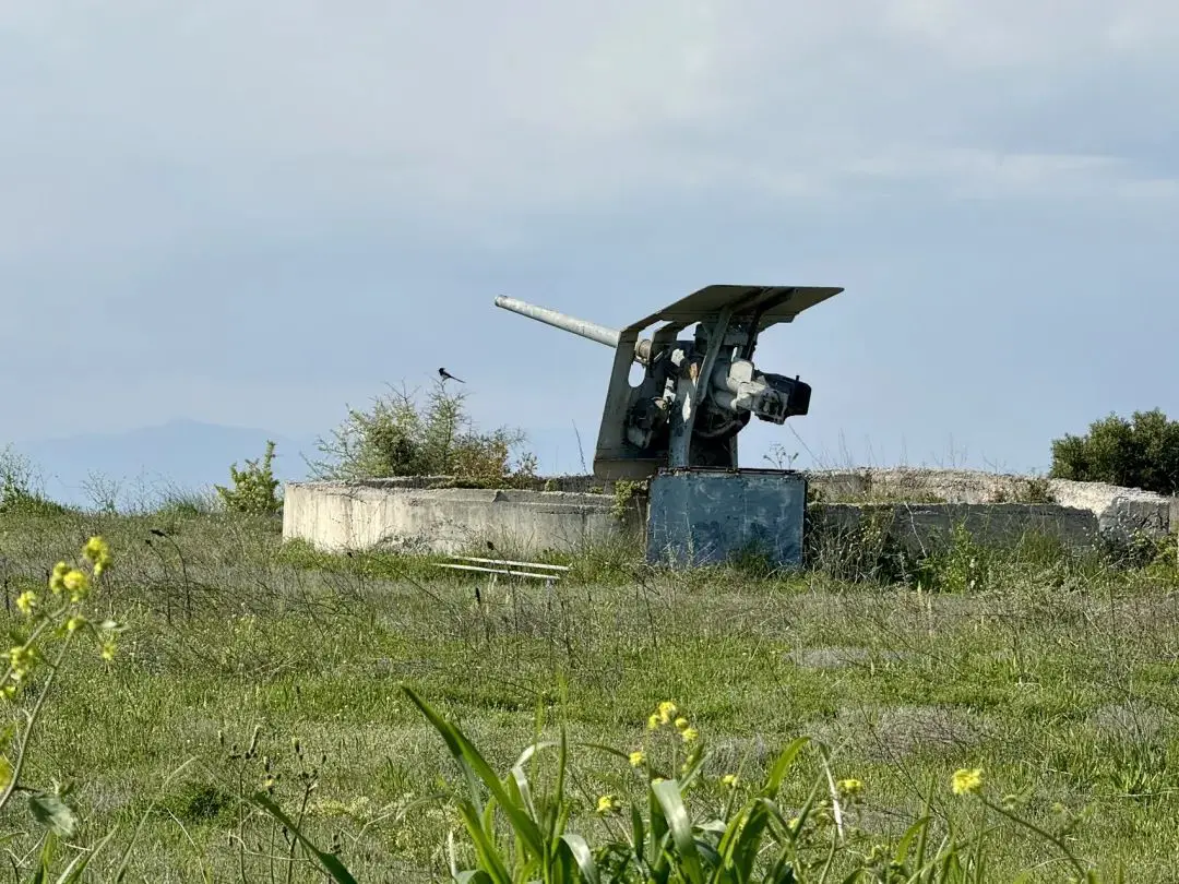 An image to describe post