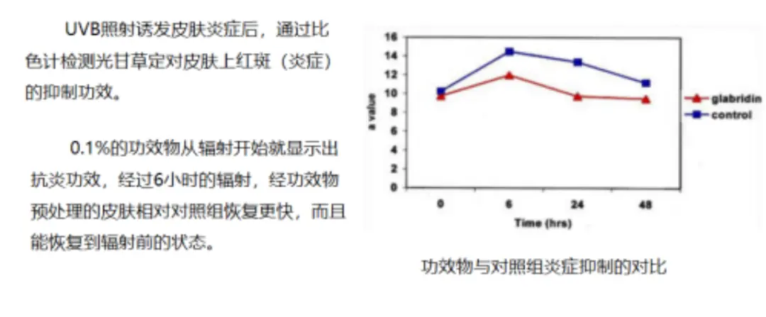 An image to describe post 嫌敷在脸上不够白，有人拿它泡水喝……