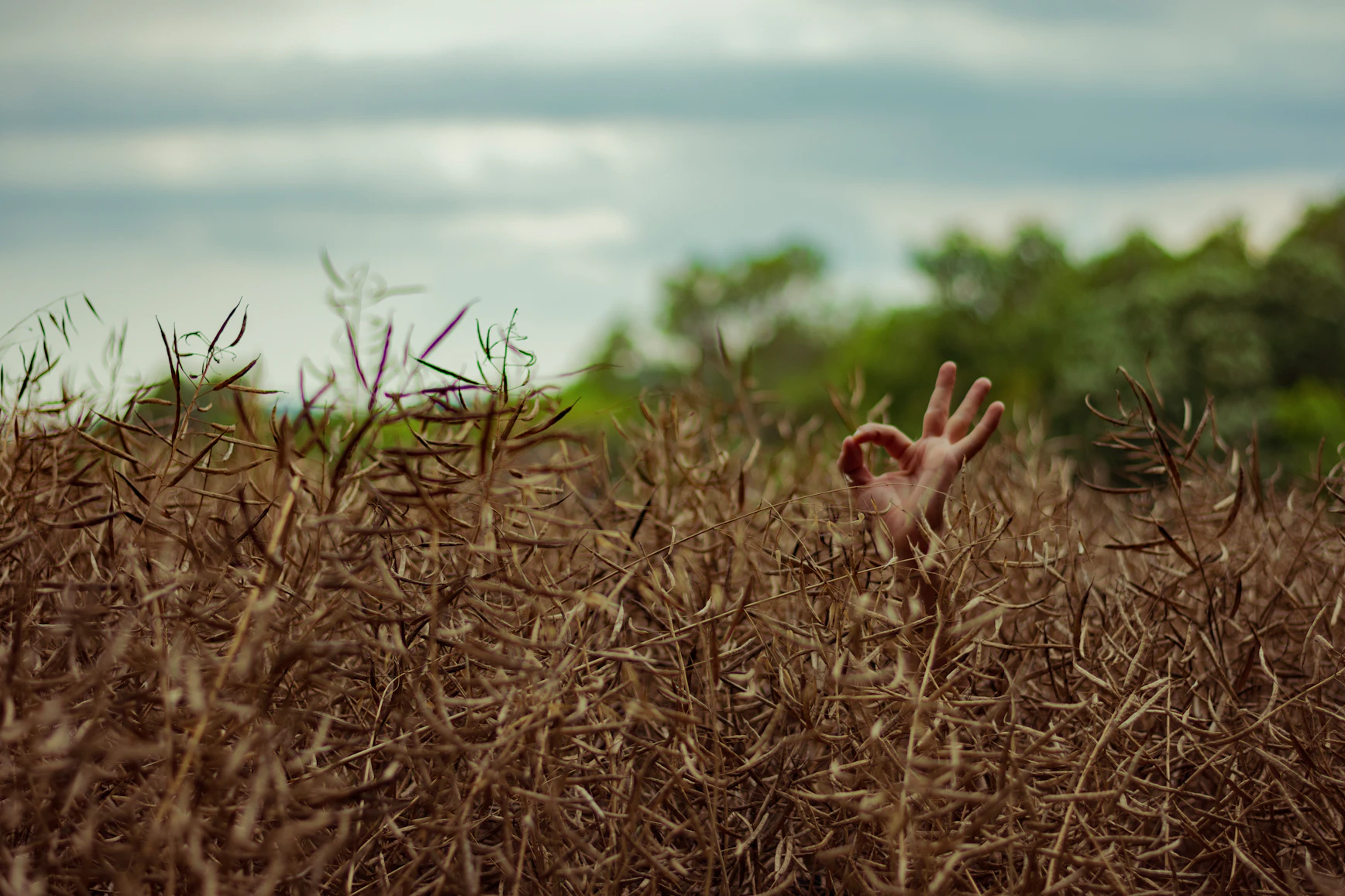 Cogito 01|对自己好一些