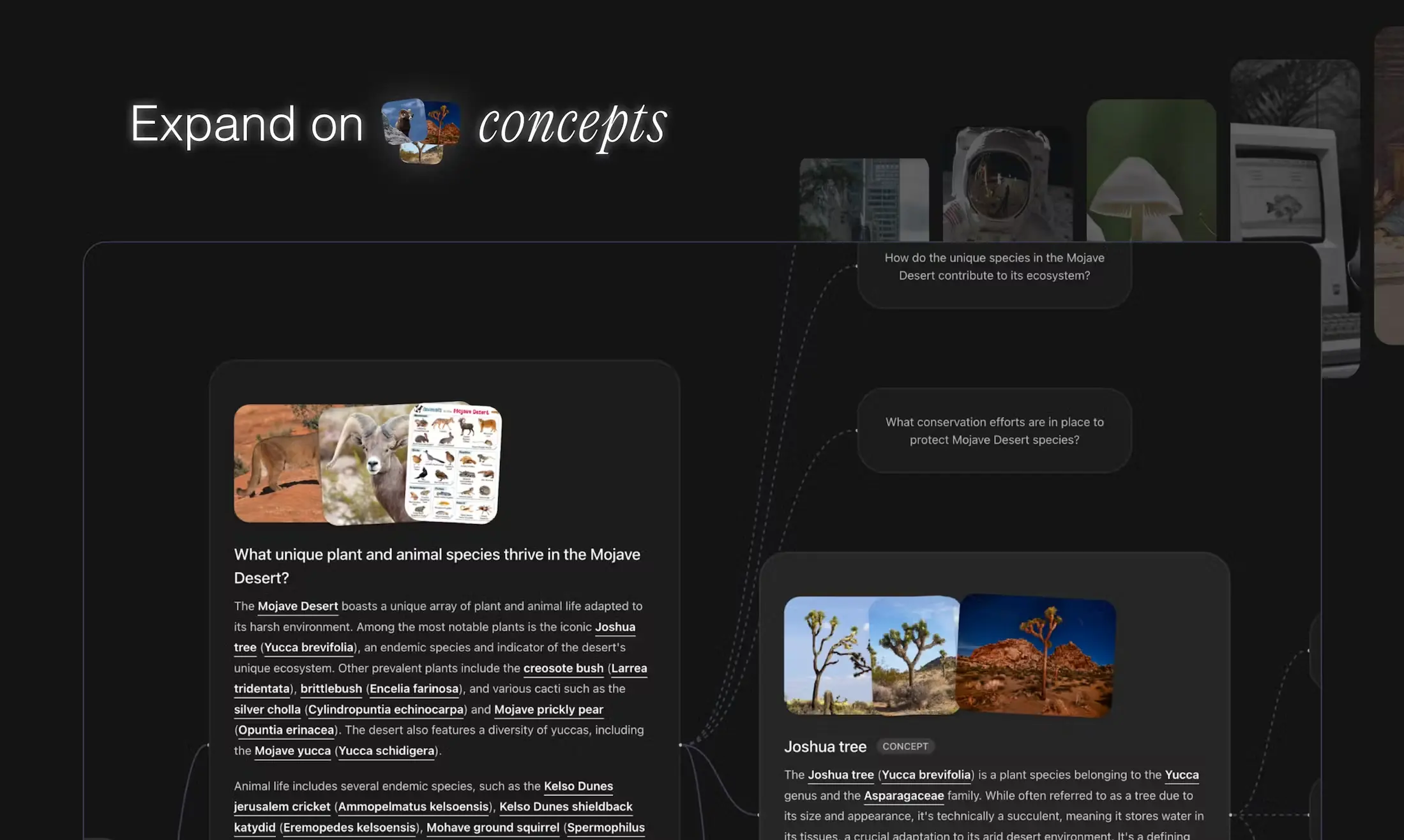 An image to describe post