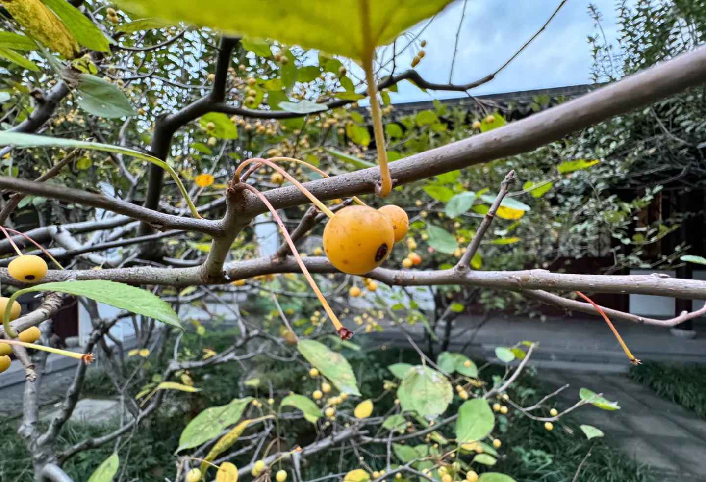 An image to describe post