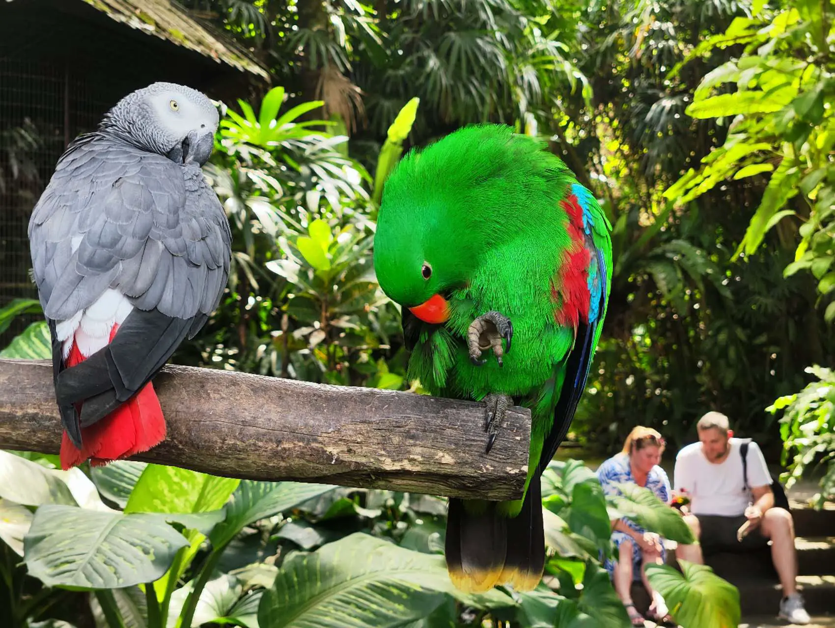 An image to describe post