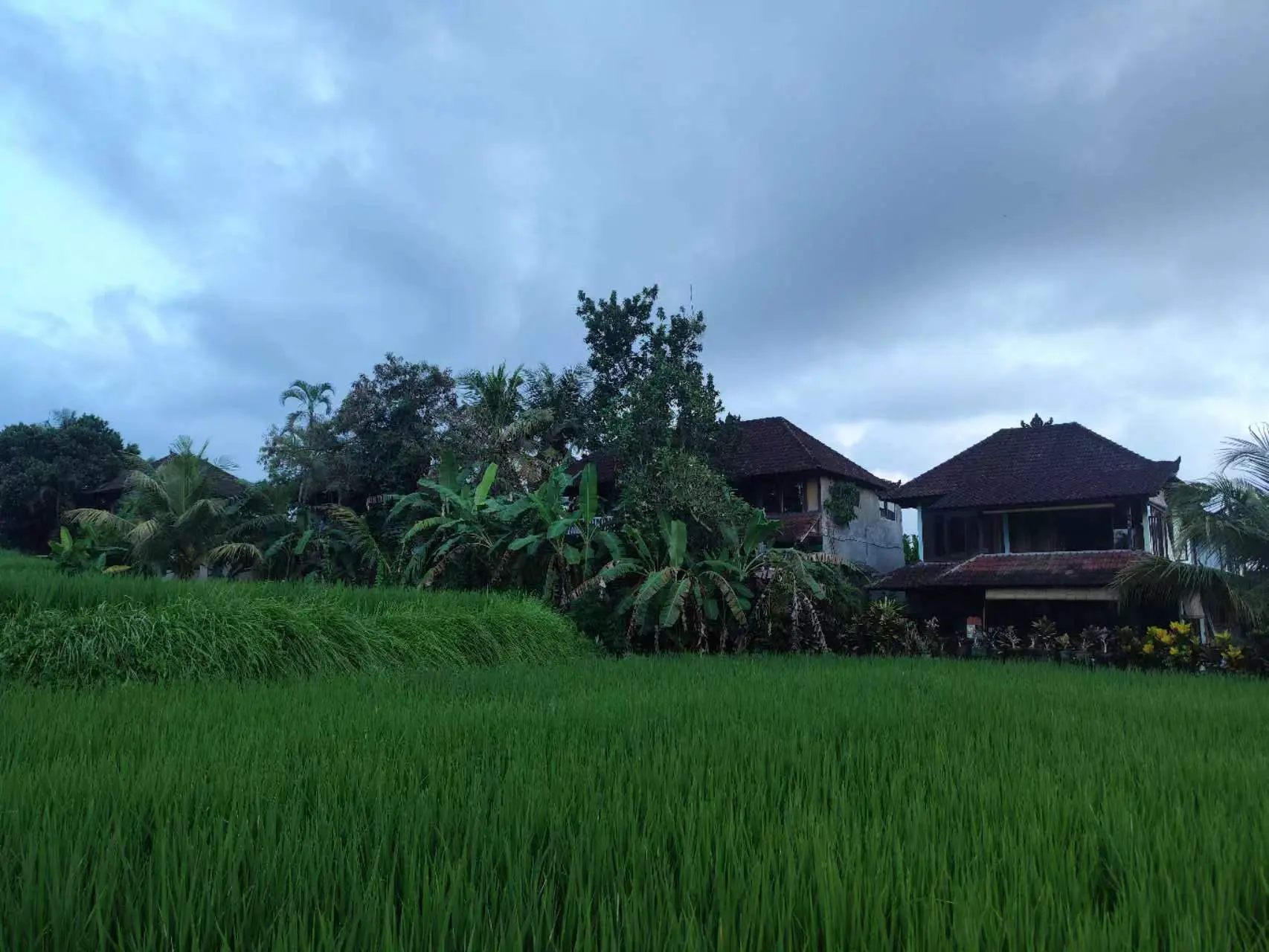 An image to describe post