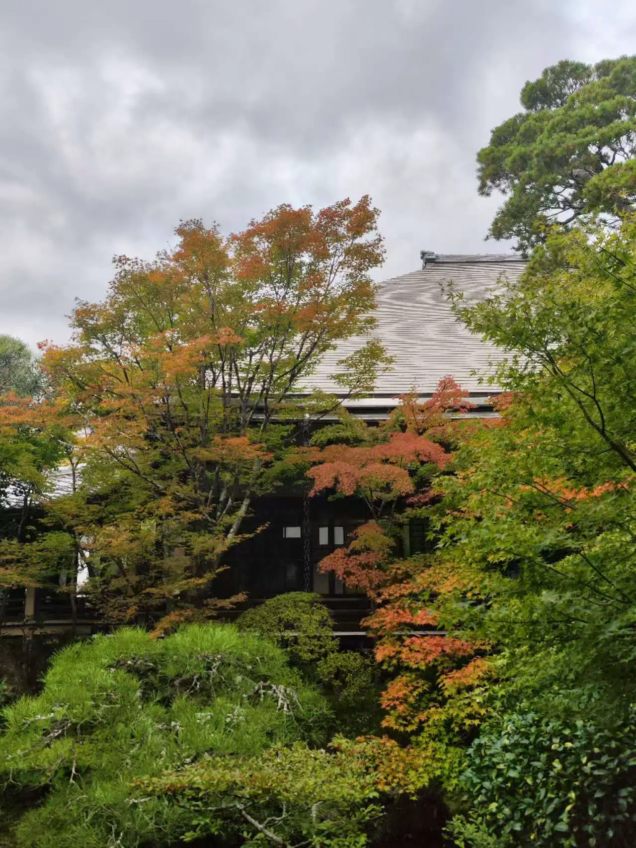 An image to describe post