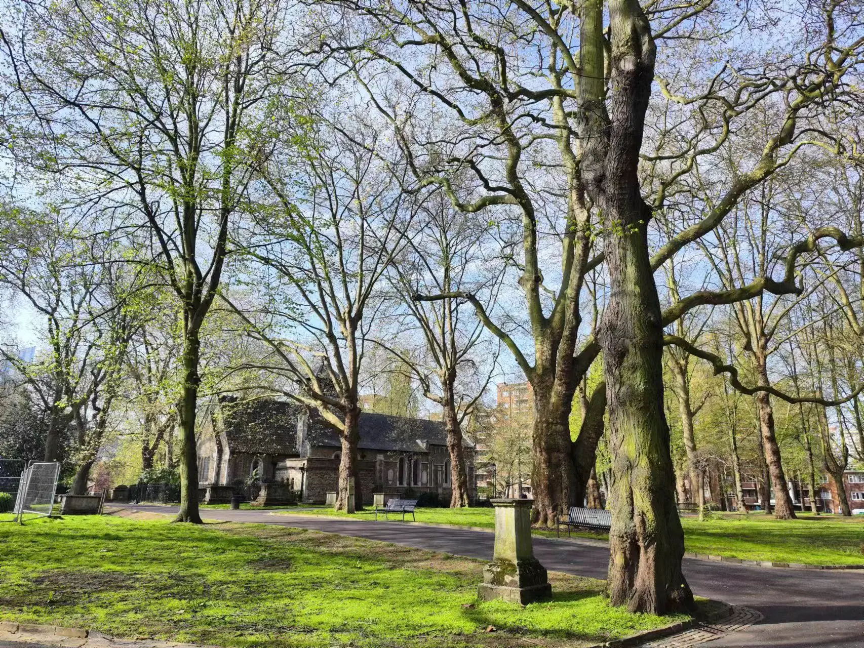 An image to describe post