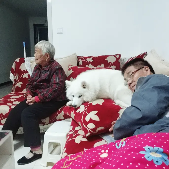 An image to describe post