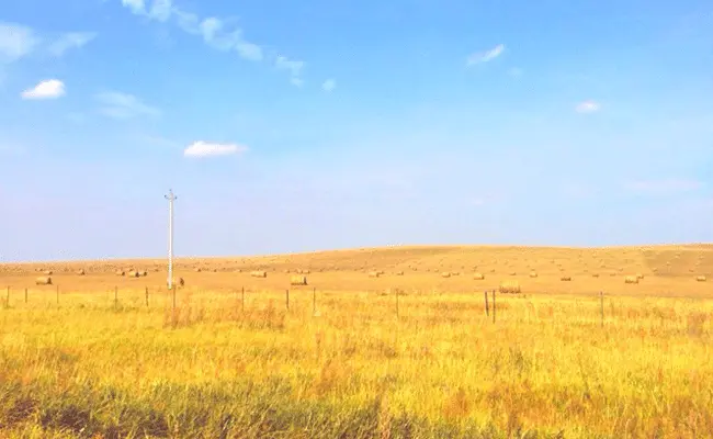 An image to describe post