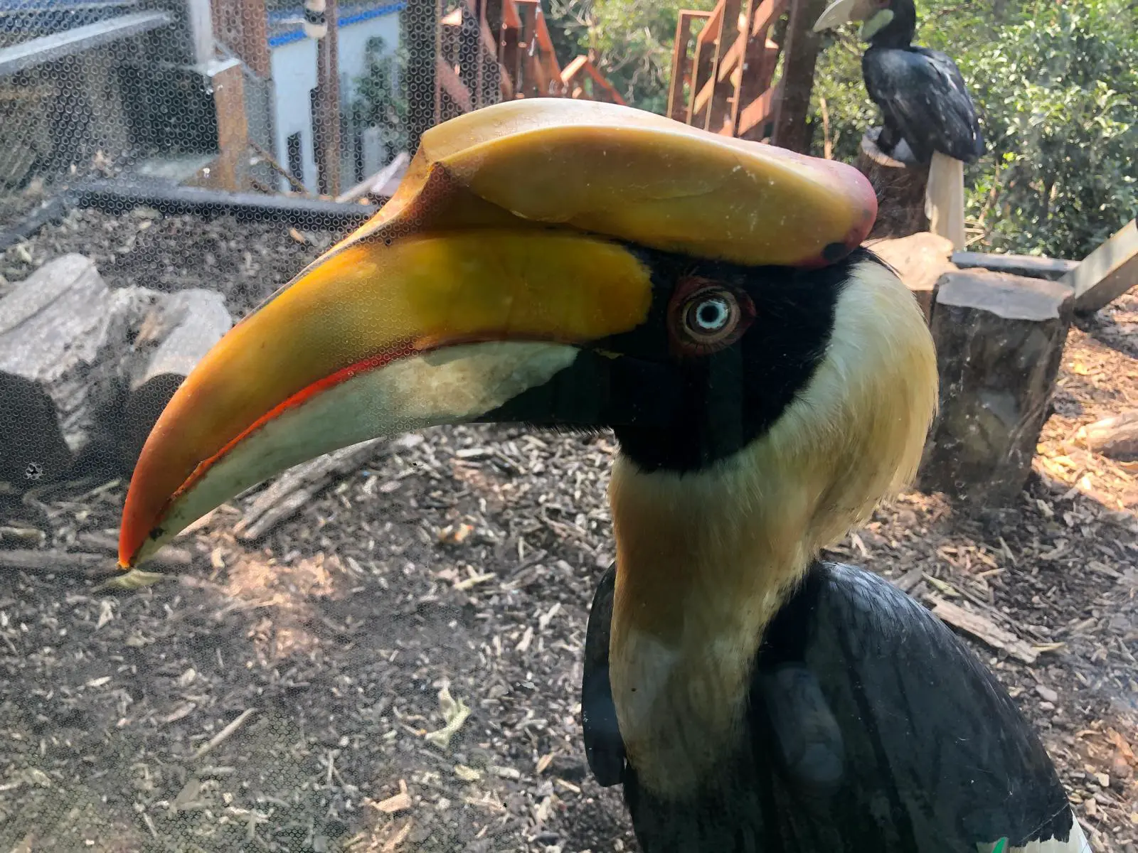 An image to describe post