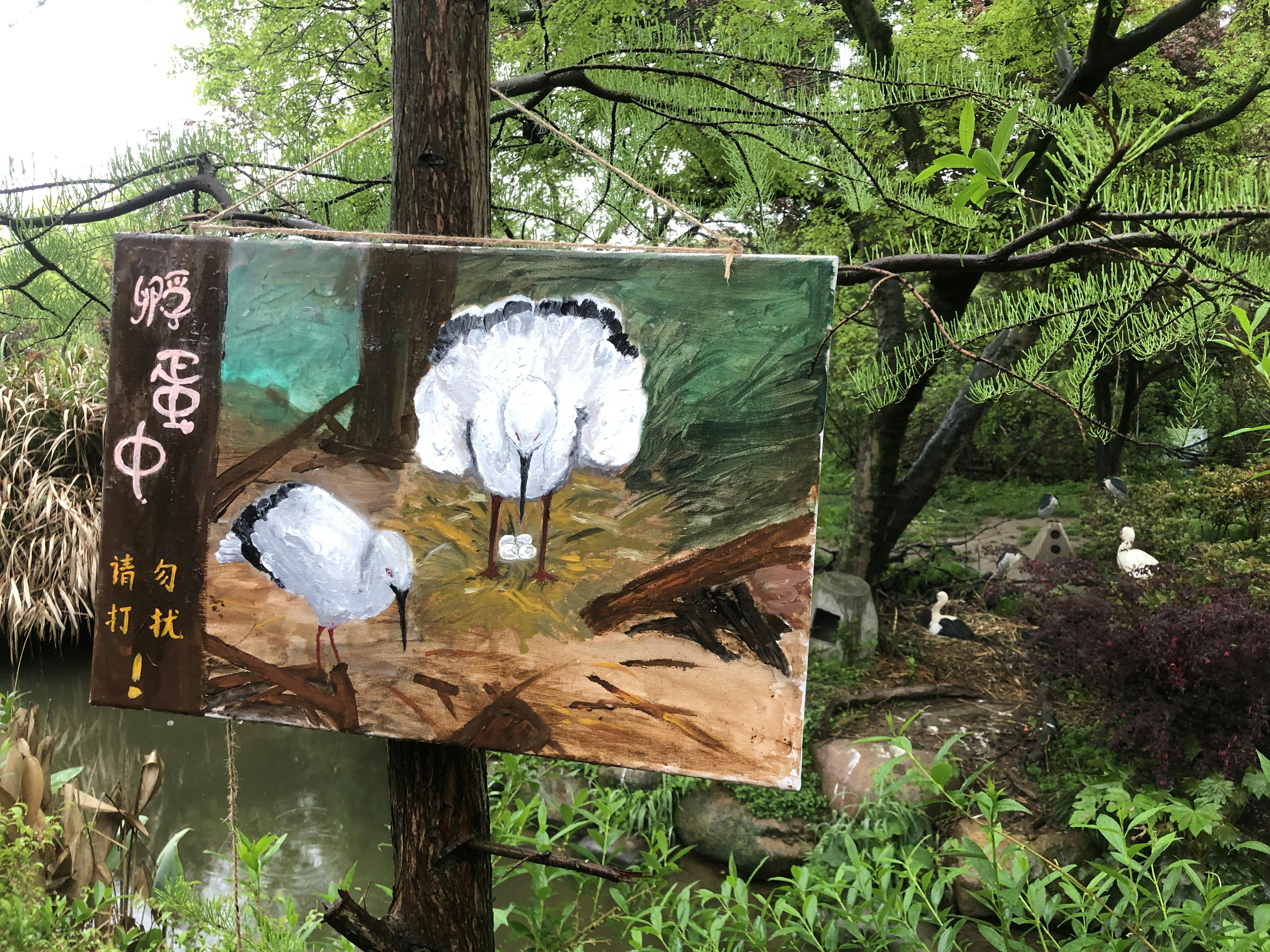 An image to describe post