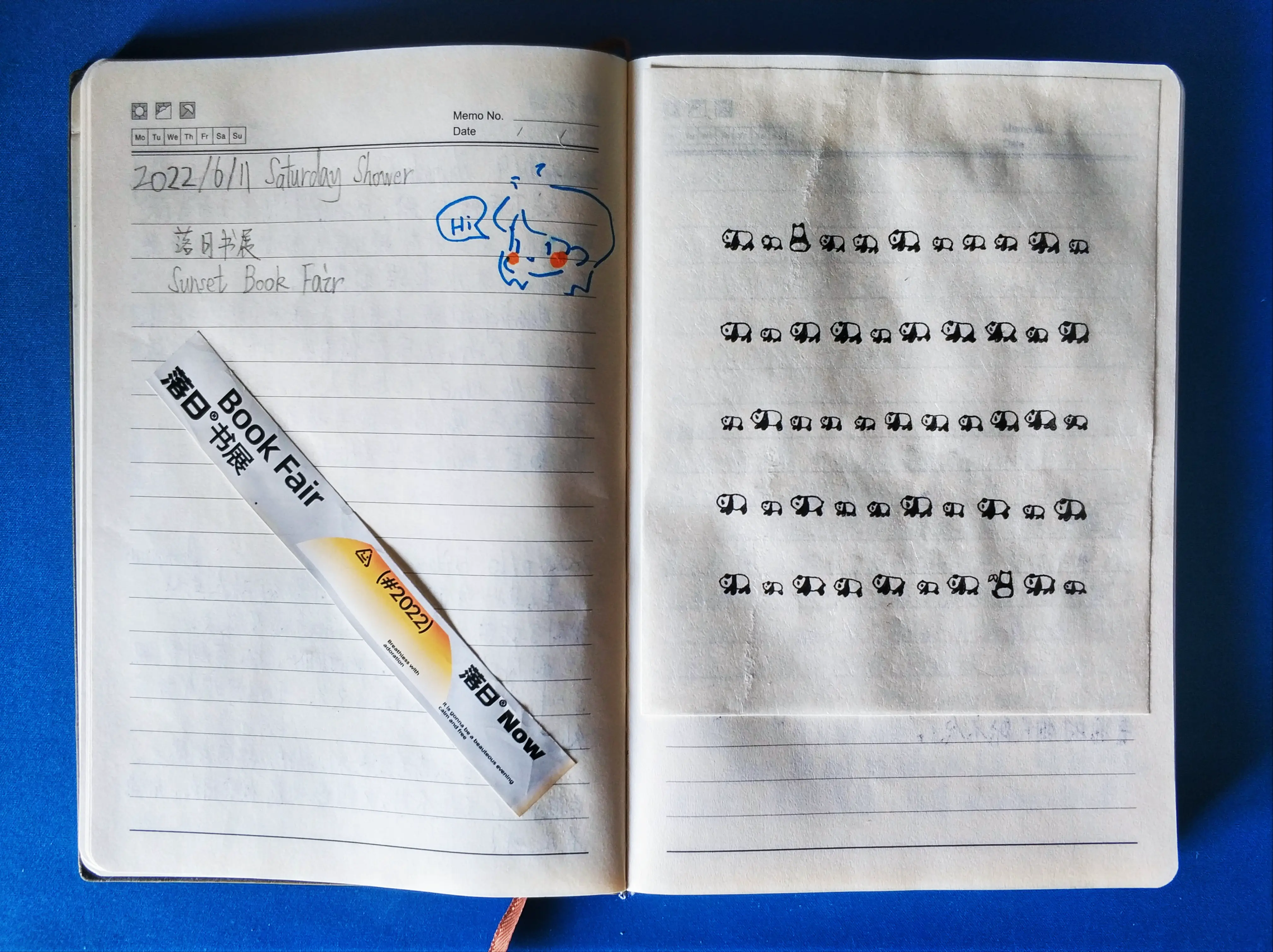 驯鹿漫游 No. 8 晒晒我的日记