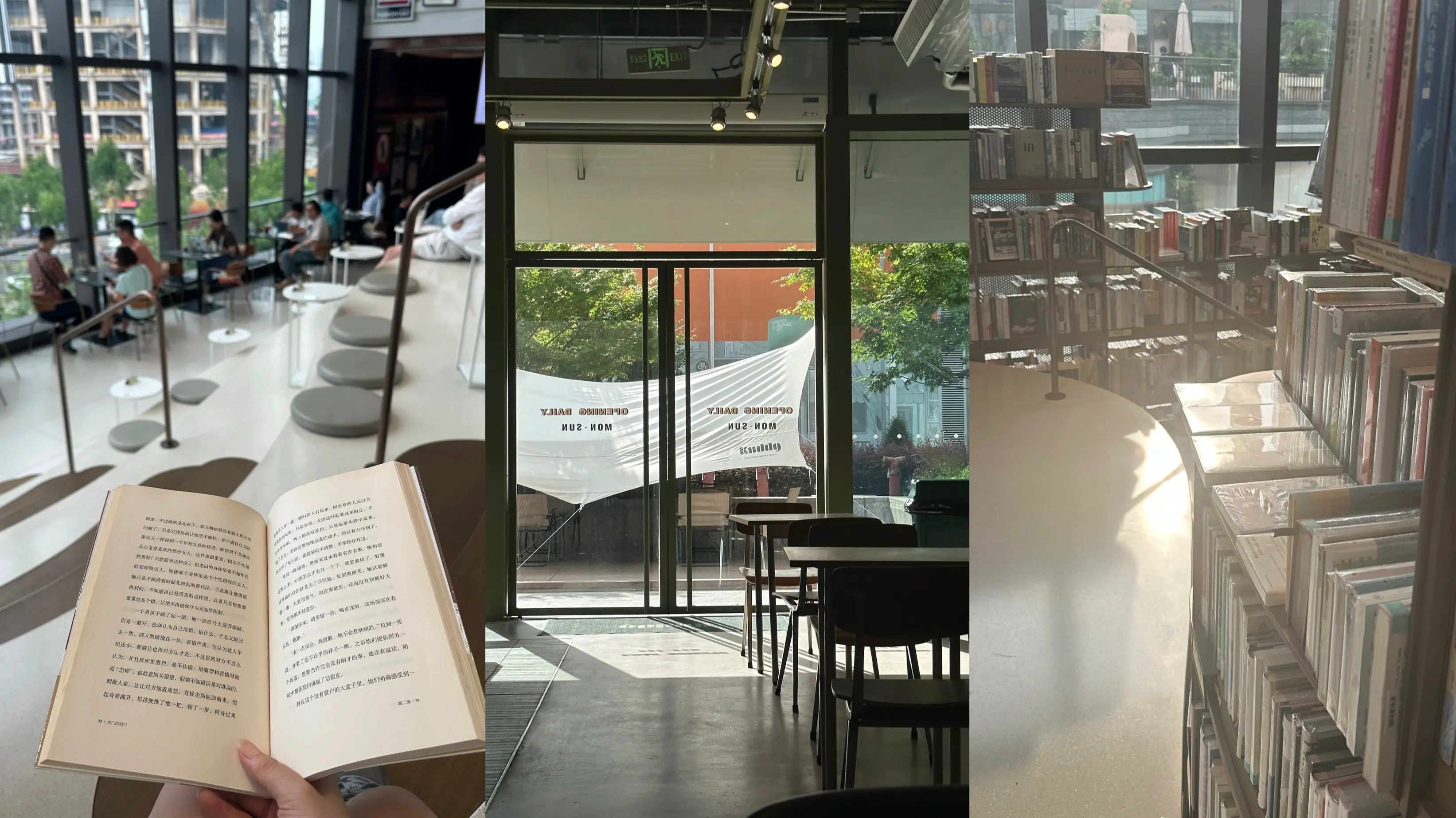 【22】上海来信 5：热爱的证明｜曲率飞船newsletter