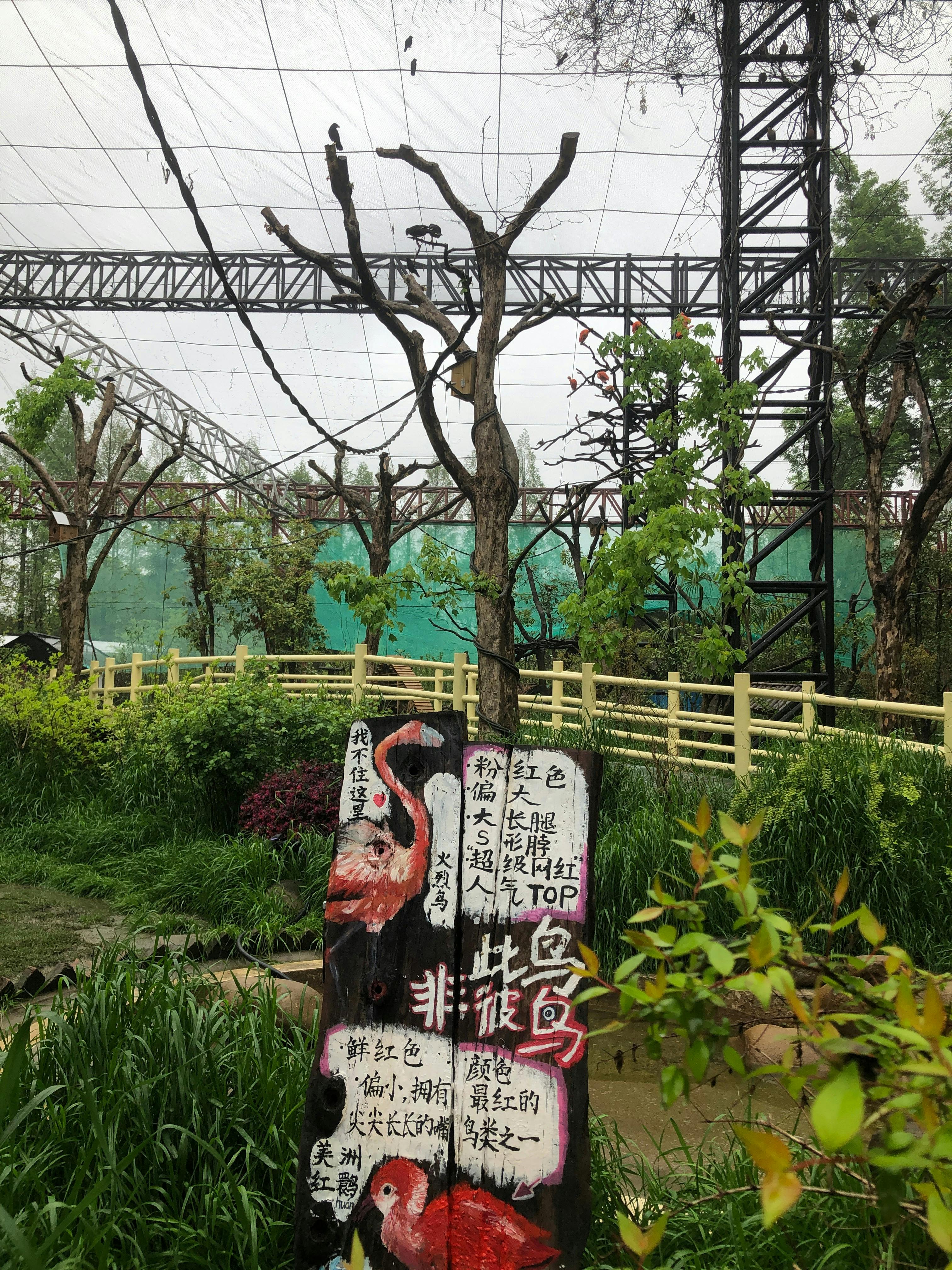 An image to describe post