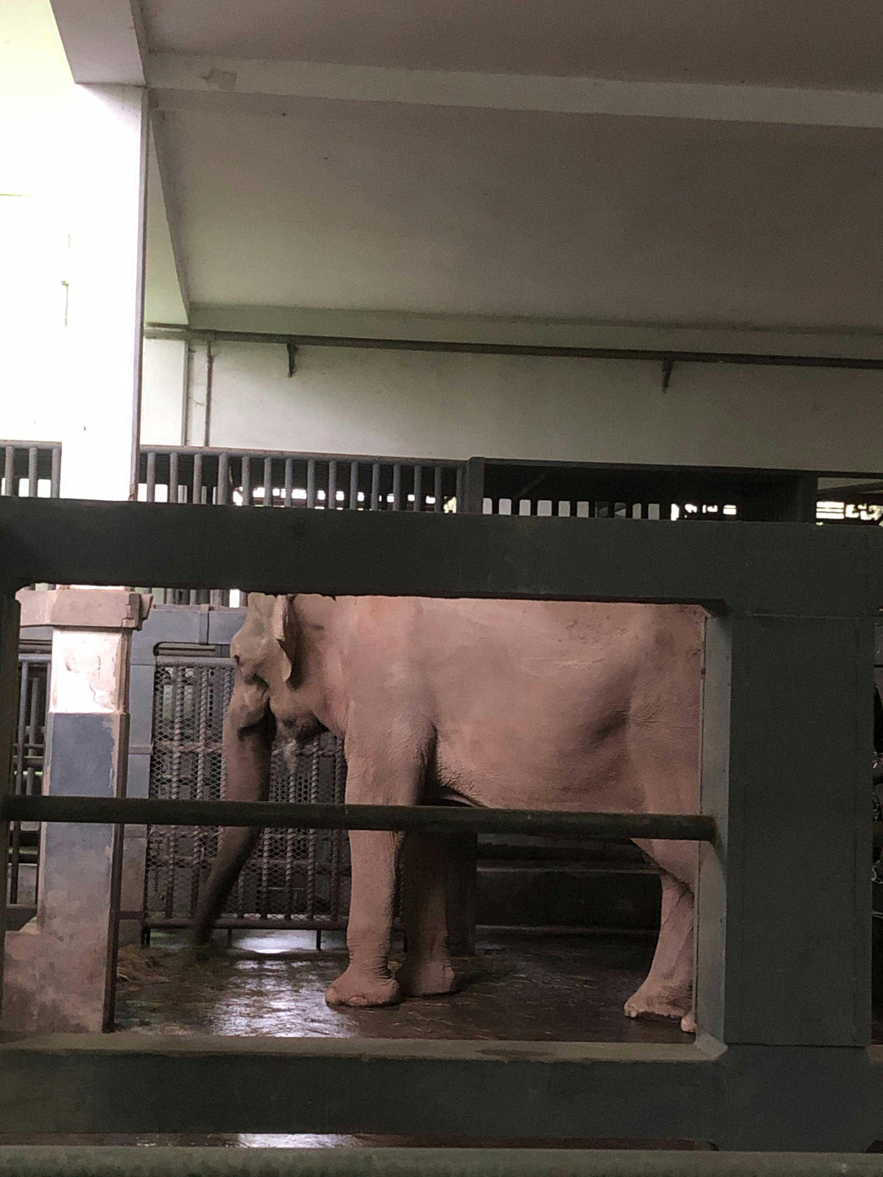 An image to describe post