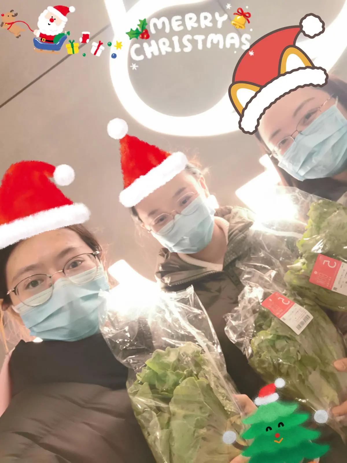 An image to describe post