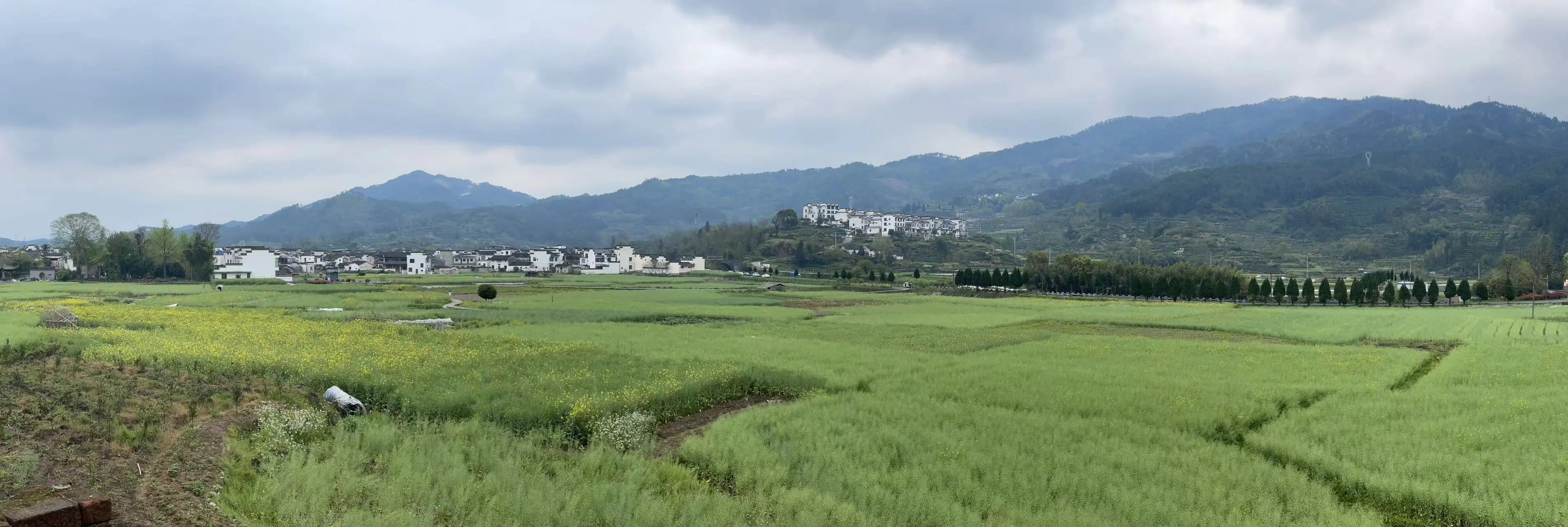 An image to describe post