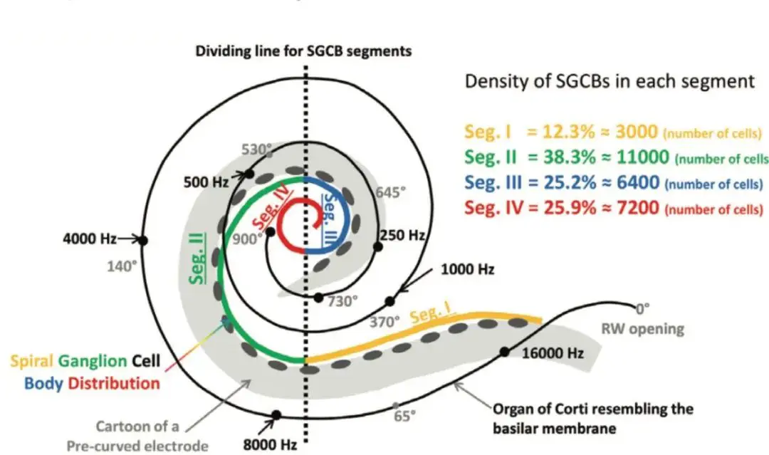 An image to describe post