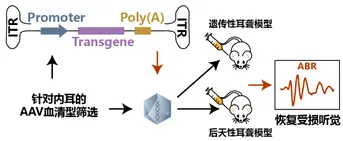 An image to describe post