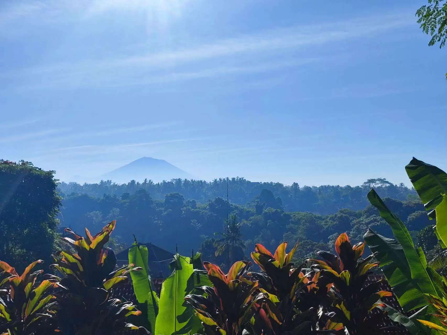 An image to describe post