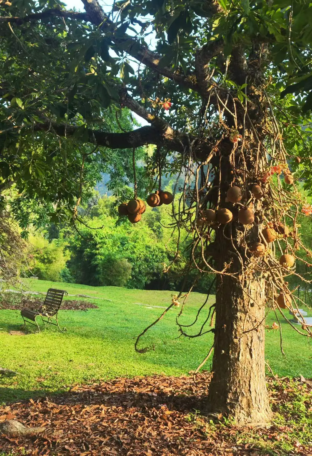 An image to describe post