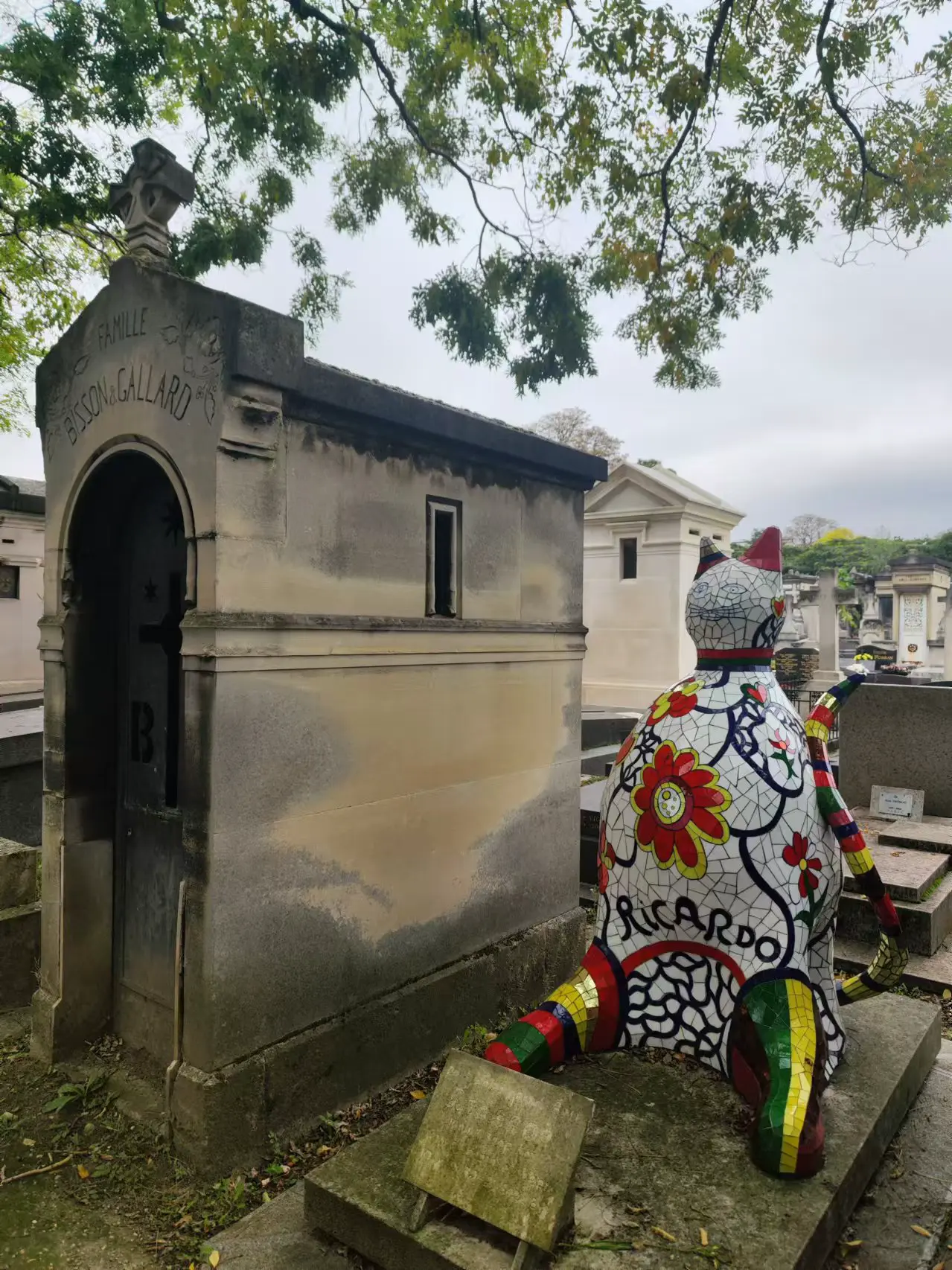 An image to describe post