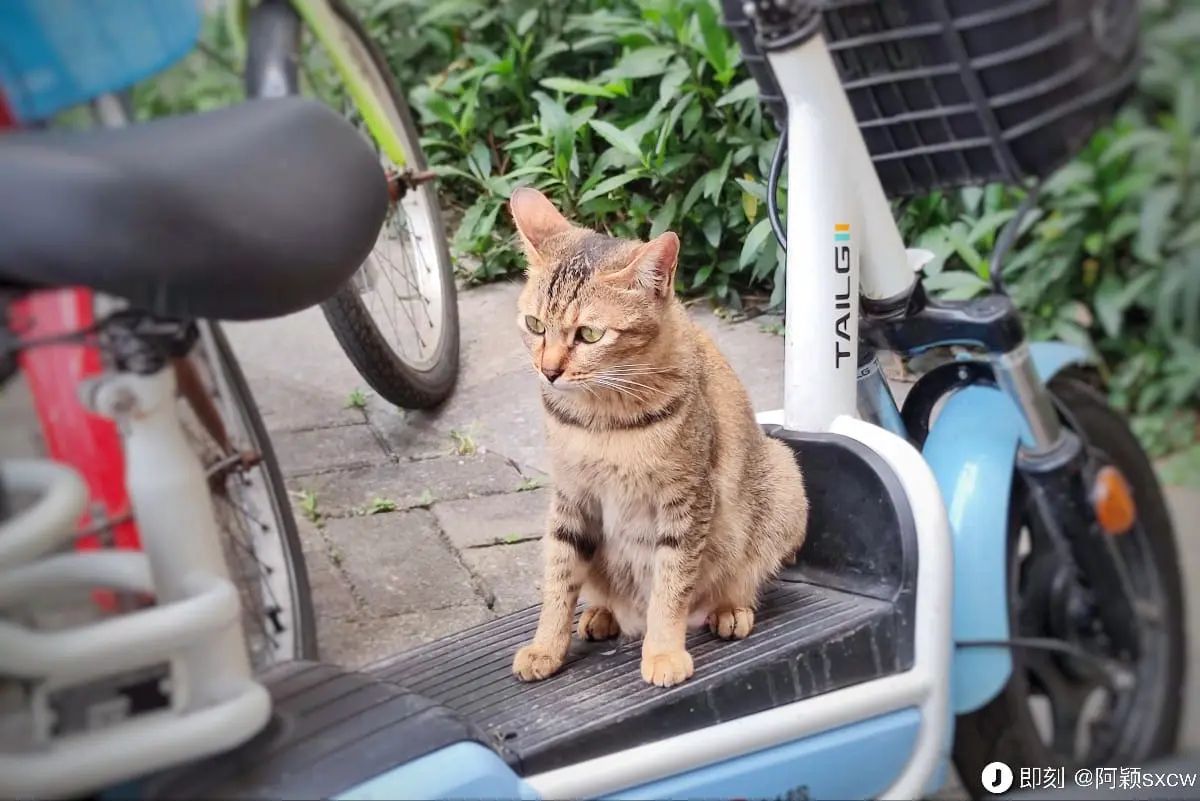 An image to describe post