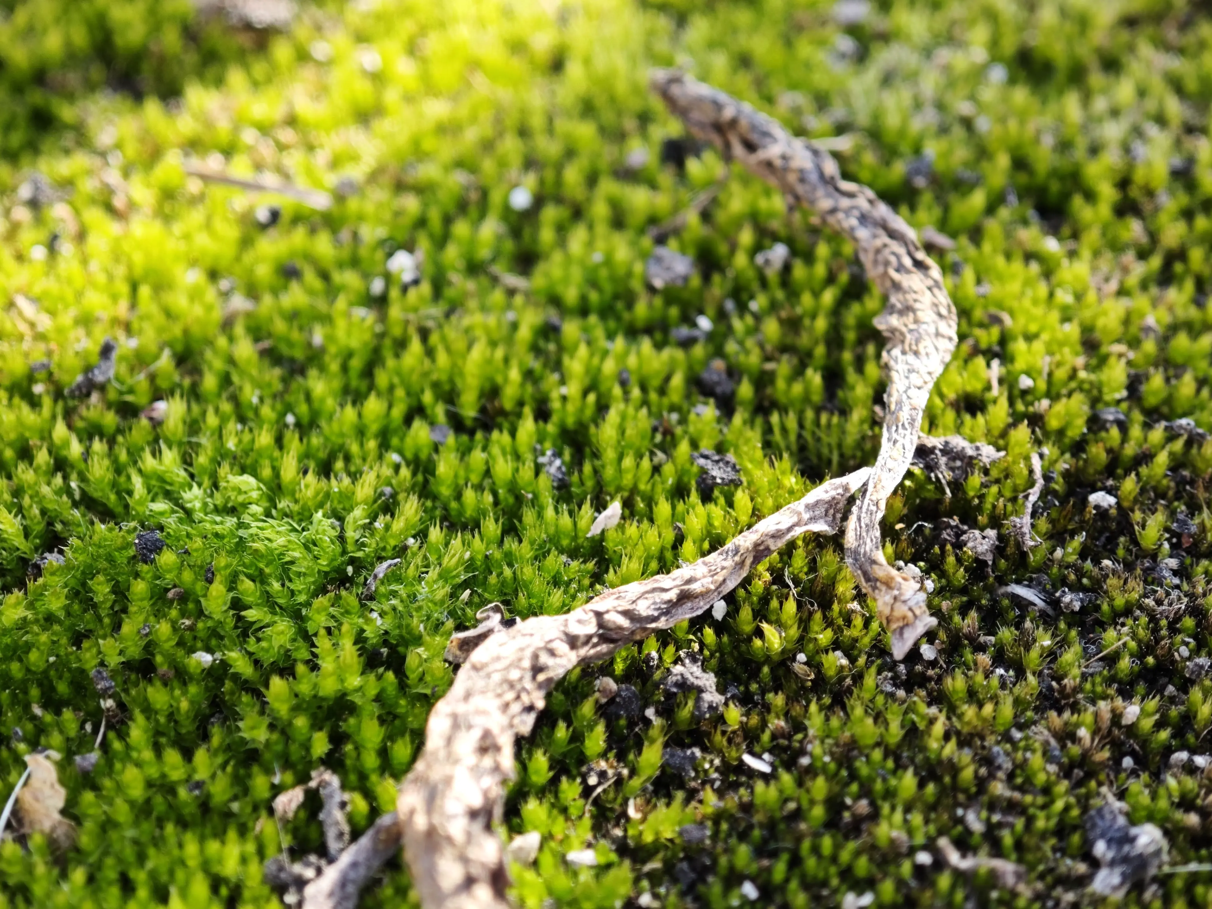 清醒，食物，创作和 AI｜试行错误94