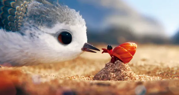 An image to describe post