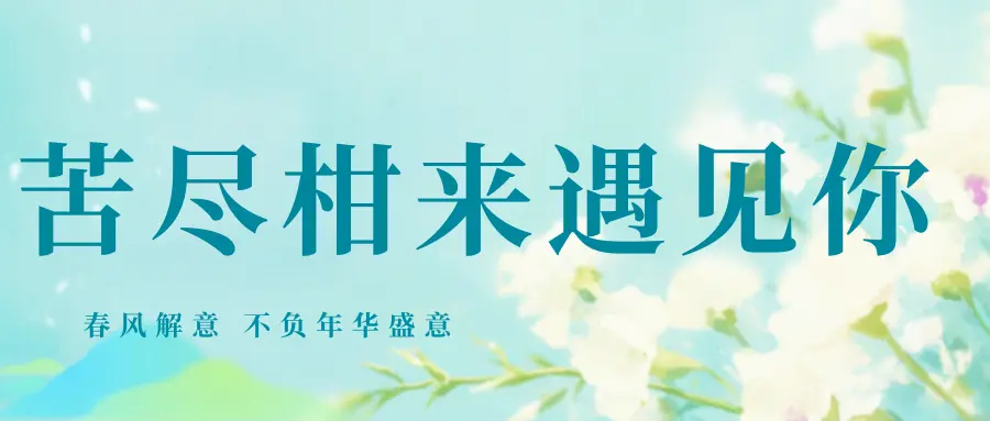 复盘W15-苦尽柑来遇见你