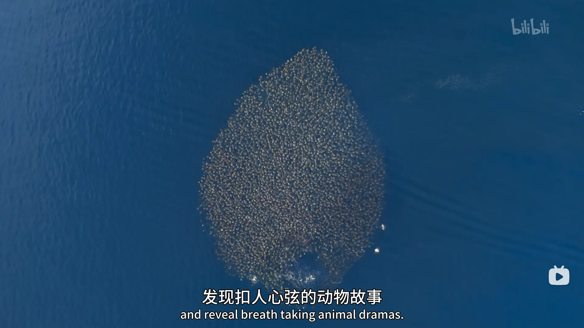 An image to describe post