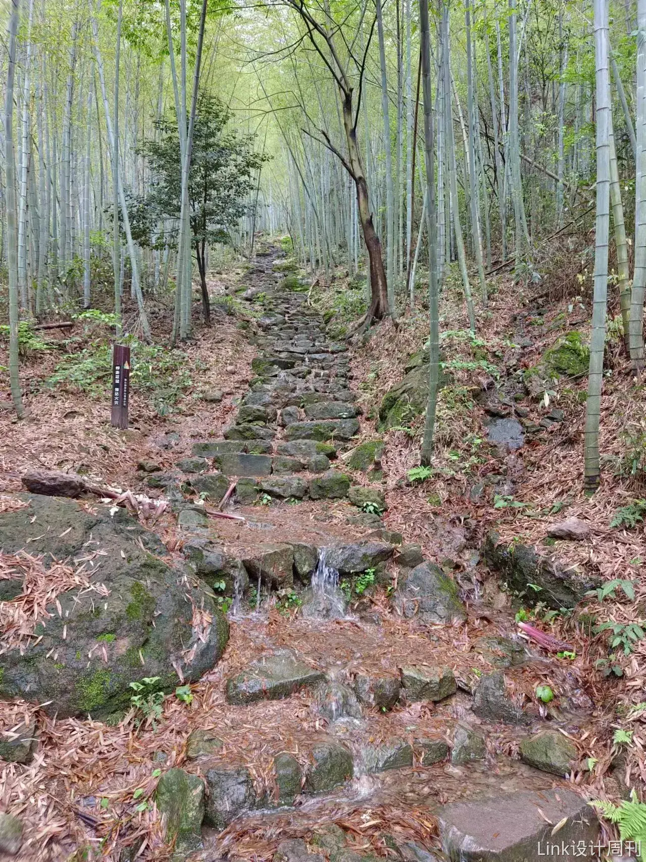 An image to describe post