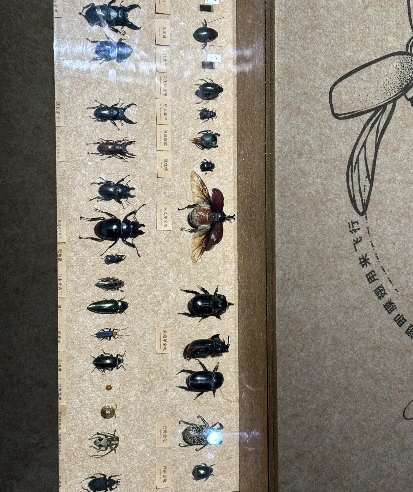 An image to describe post