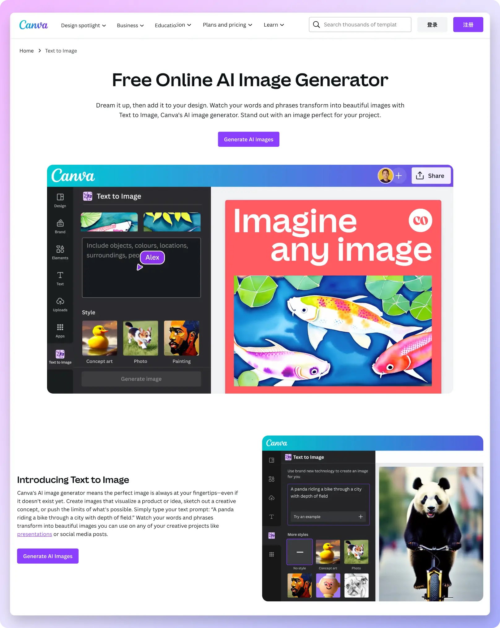 An image to describe post