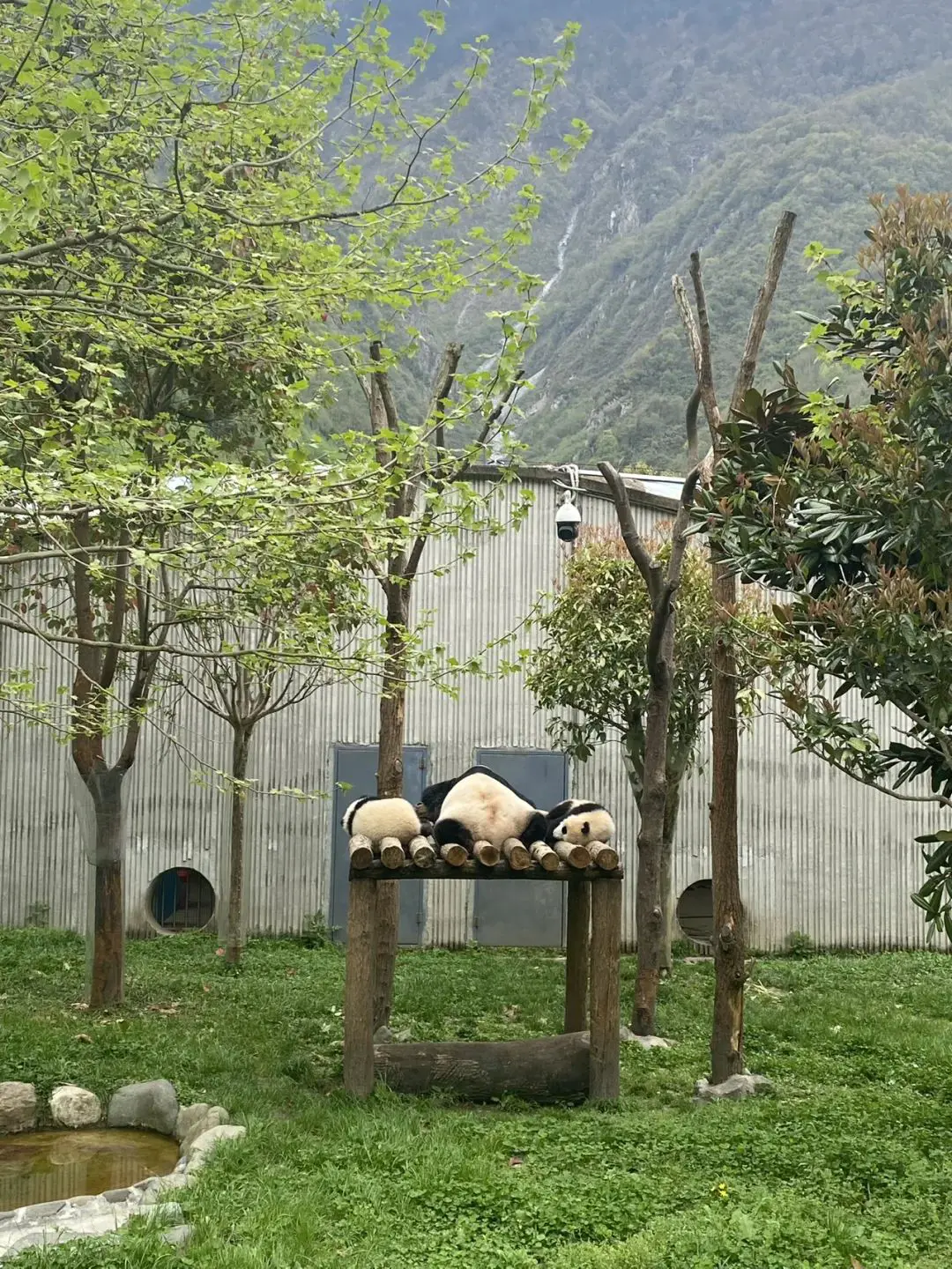 An image to describe post