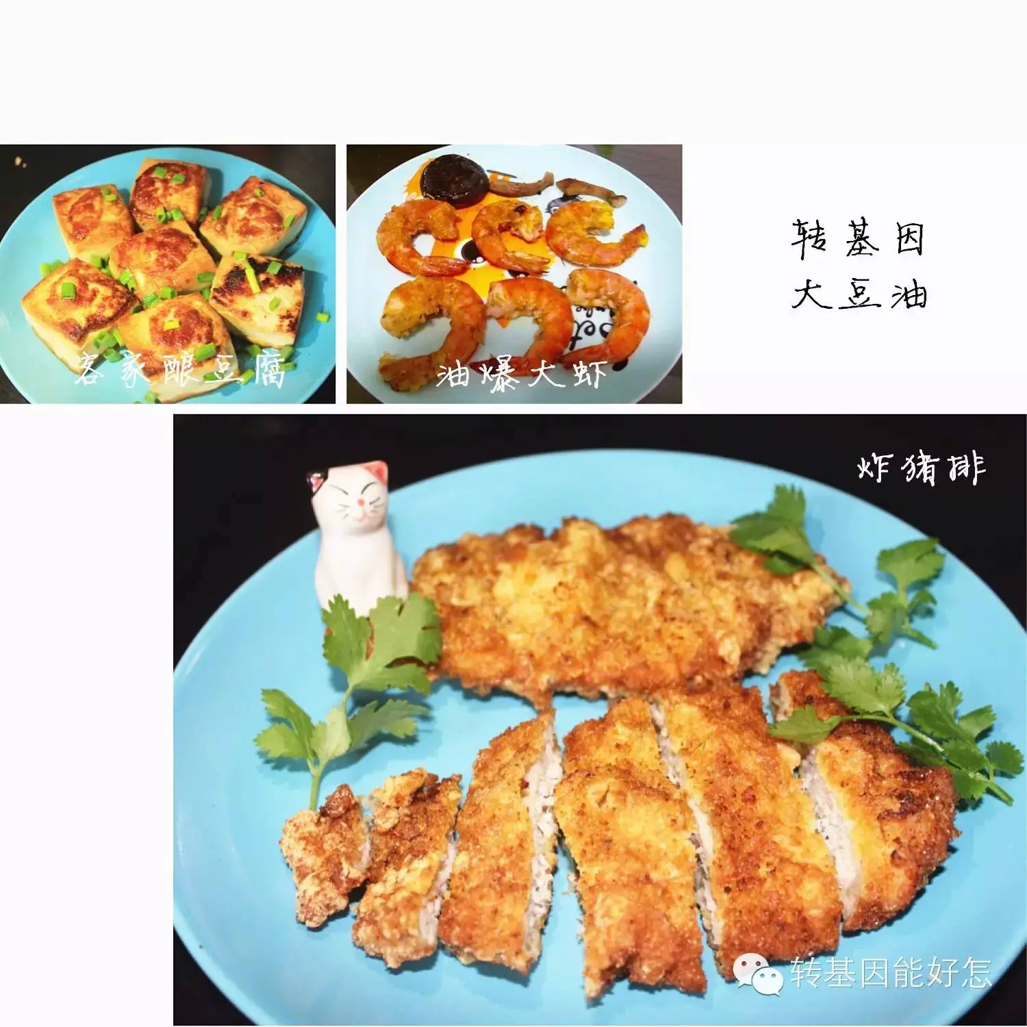 An image to describe post 唯爱与美食与科学不可辜负丨转基因美食大放送